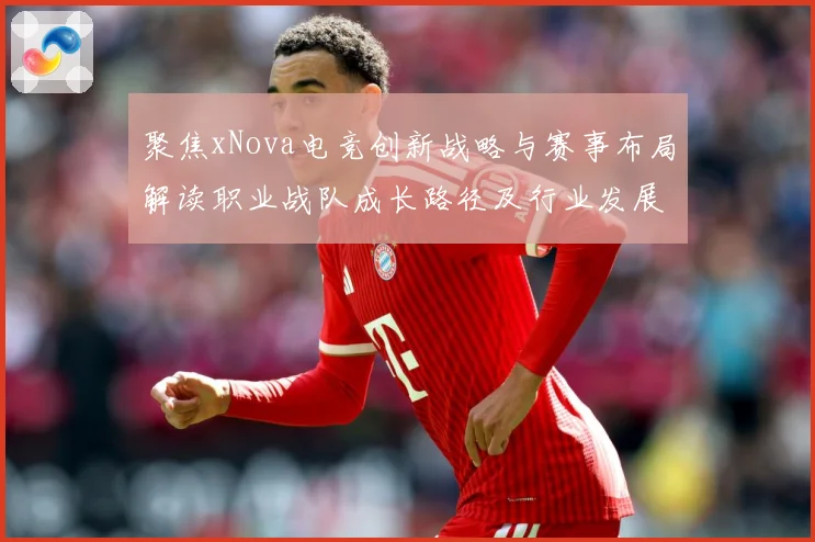 聚焦xNova电竞创新战略与赛事布局解读职业战队成长路径及行业发展趋势解析